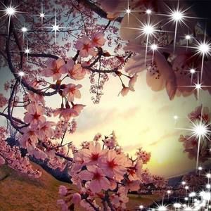 Meet your Posher, Edith